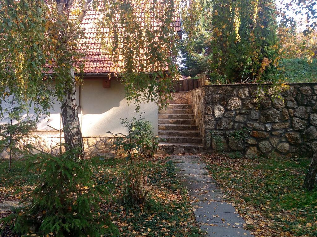 Mogyorosbanya 稻草旅馆酒店 外观 照片